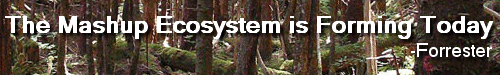 Top Banner